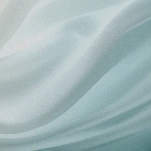 다이어트 / 체형관리